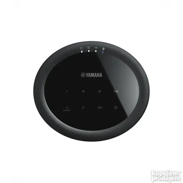 Yamaha MusicCast 20 (WX-021)