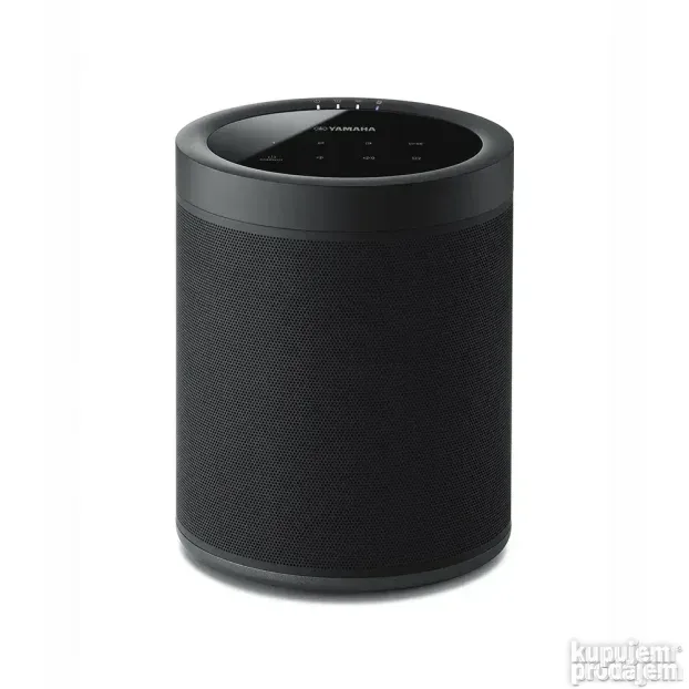 Yamaha MusicCast 20 (WX-021)