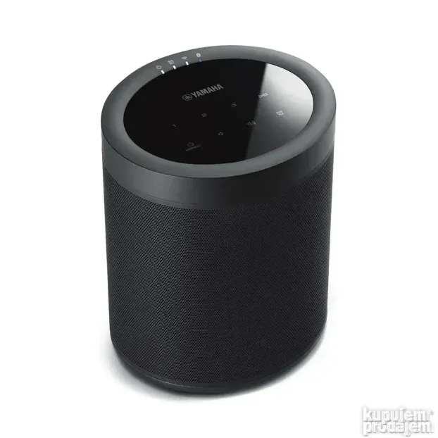 Yamaha MusicCast 20 (WX-021)