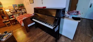 Prodajem crni pianino Cherny