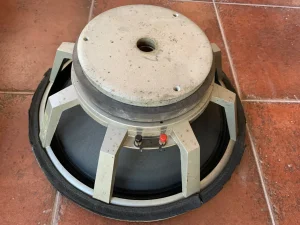 ElectroVoice EVM 15"B