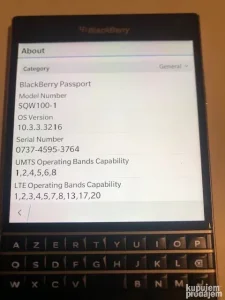 Blackberry Pasport
