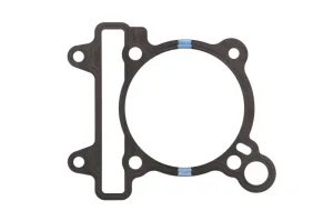 Dihtung cilindra Beverly 350