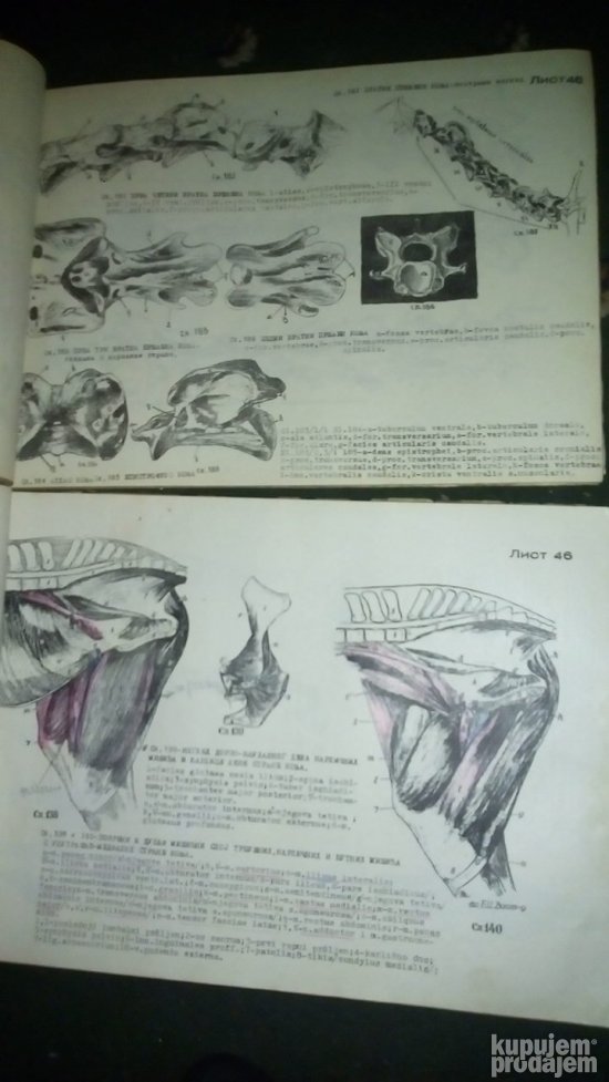 ATLAS uporedne anatomije  I i II B.SIMIC