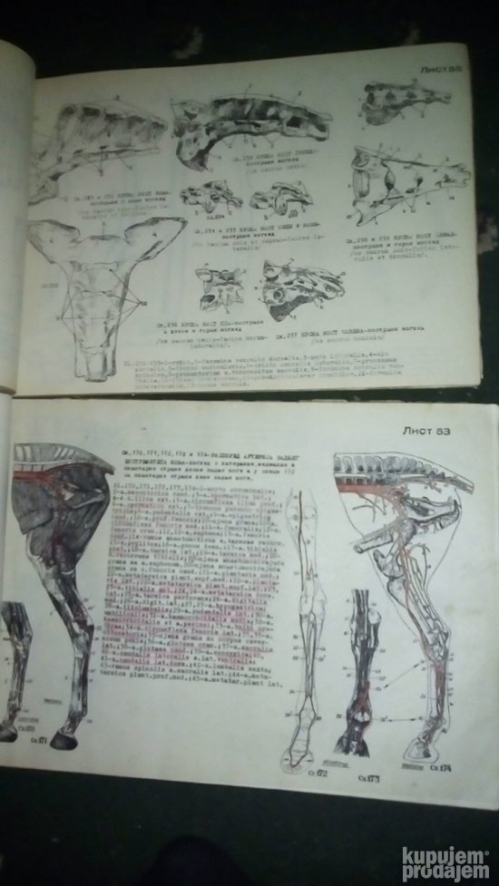 ATLAS uporedne anatomije  I i II B.SIMIC