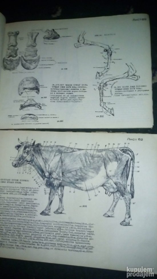 ATLAS uporedne anatomije  I i II B.SIMIC