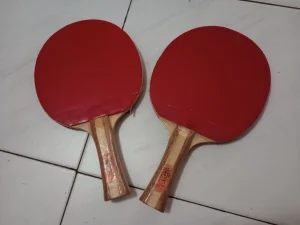 Reketi za stoni tenis Dolvor ITTF