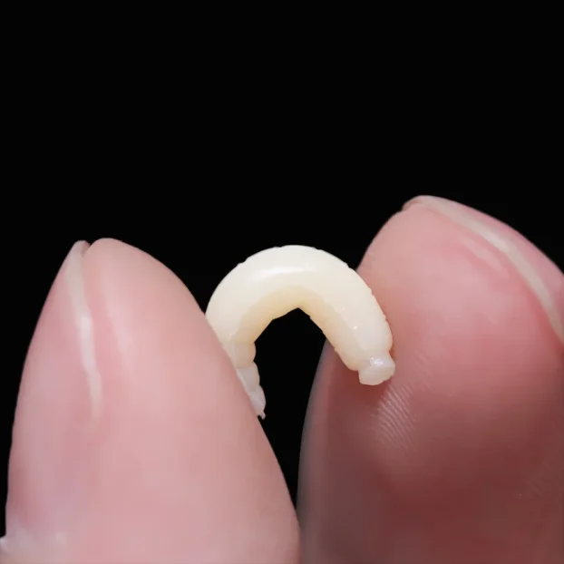 Silikonski crvići 50komada