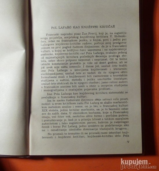 Književna kritike
