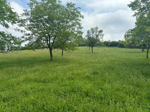 Aranđelovac, Venčane, 2.0 dvosobna, 70 m²