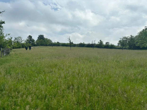 Aranđelovac, Venčane, 2.0 dvosobna, 70 m²