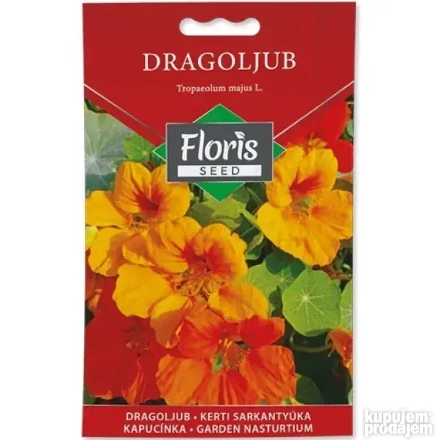 Cveće Dragoljub seme 1g - 10kom. FLORIS
