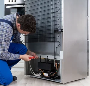 Servis frižidera i zamrzivača