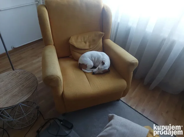 Setanje i cuvanje pasa blok 30