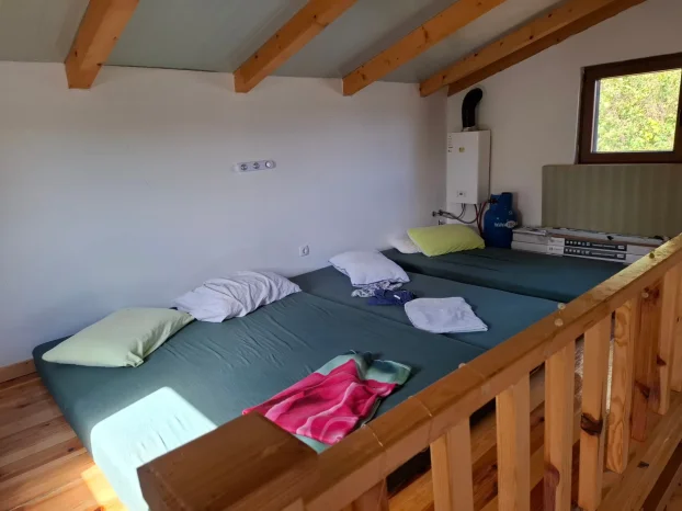Prodaja sojenice na obali Save