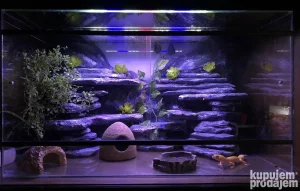 Terarijum 70x40x40
