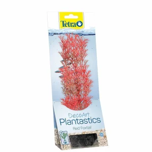 Tetra Planst. DecoArt 23 cm, RedFoxtail M