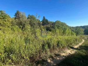 Irig, Velika Remeta, 2.0 dvosobna, 62 m²