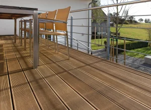 Deking - Sibirski Ariš