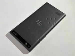 Blackberry Leap STR100-1