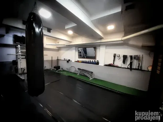 Teretana - sprave - TECHNOGYM - LIFE FITNESS - profi oprema