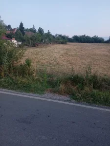 vrbovacka, Vrbovno, 10 ar
