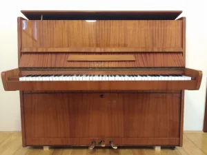 pianino čajka
