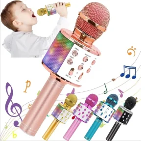 Karaoke mikrofon sa zvučnikom WS-858