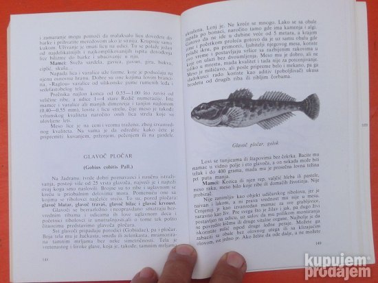 Sve o ribolovu na moru Dragoslav Petković