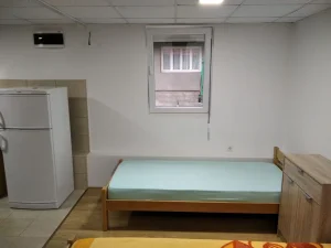 Radnici za berbu malina