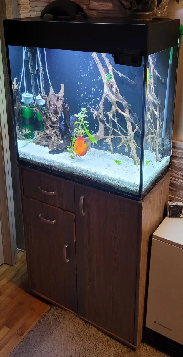Kompletan akvarijum 200l