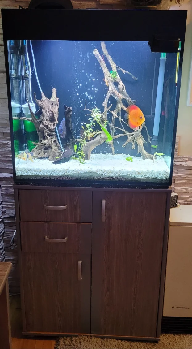 Kompletan akvarijum 200l