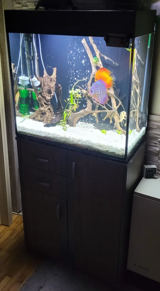 Kompletan akvarijum 200l