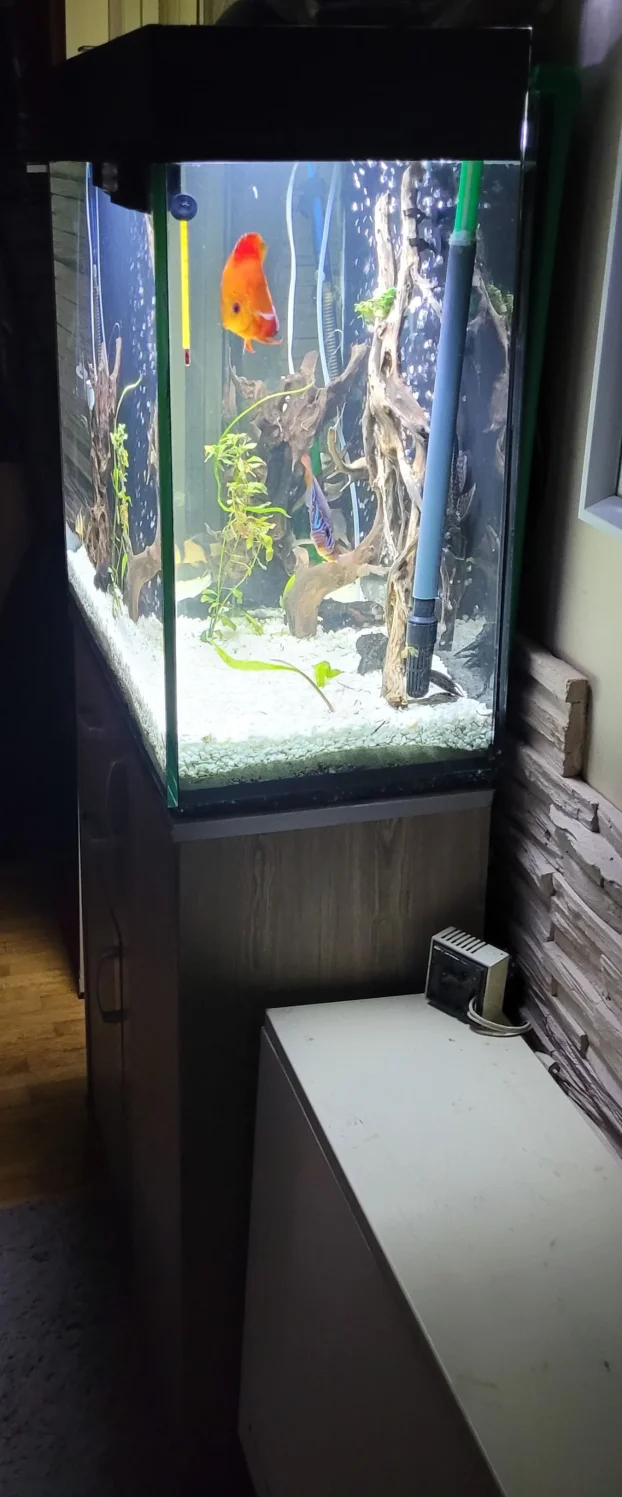 Kompletan akvarijum 200l