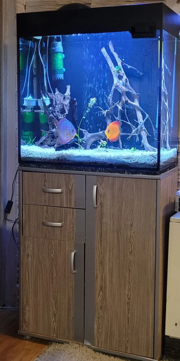 Kompletan akvarijum 200l