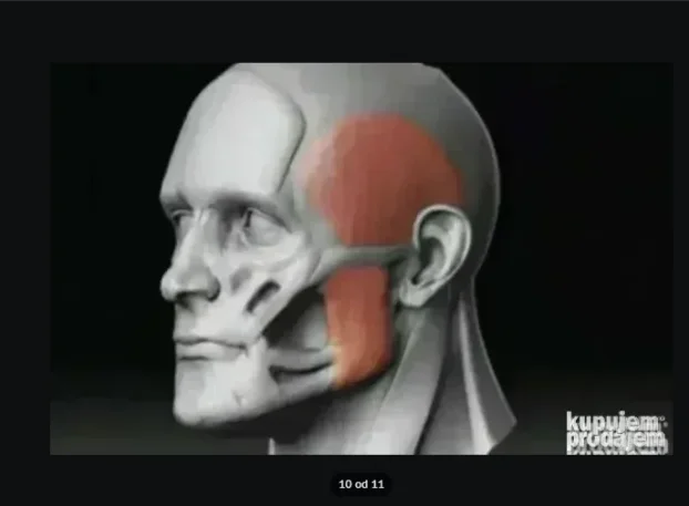 Ojačivač vilice Guma za vilicu JAWLINE Jačanje Vilice
