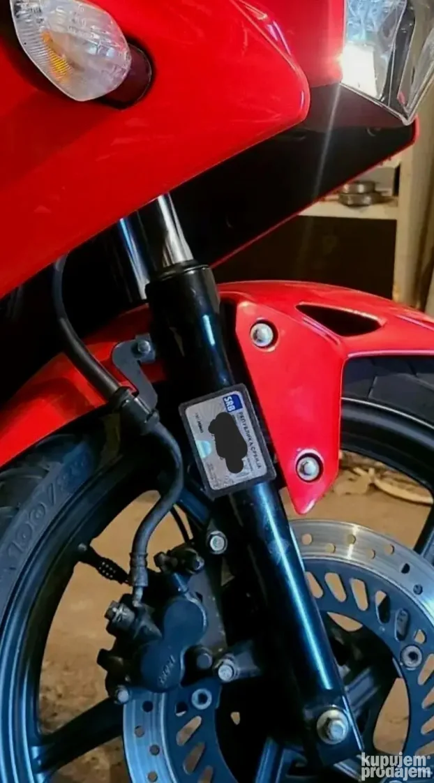 big-181885648_6850897bab9238-543394731c9