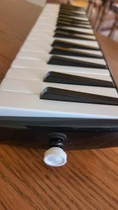 Hohner piano 36