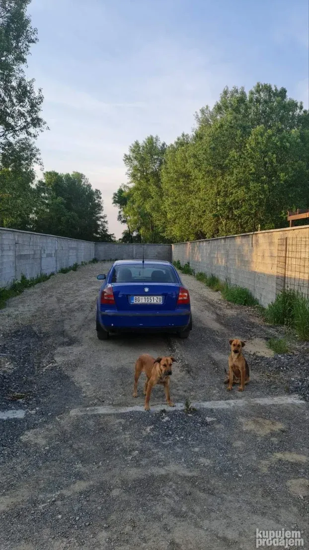 Izdajem plac na Dunavu kod Goce i Renata