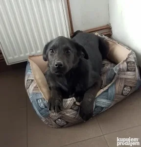 Malena Megi se udomljava