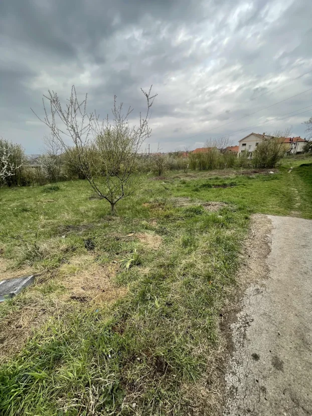 Resnik, 11 ar