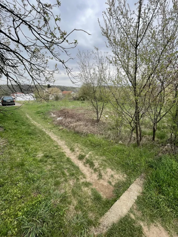 Resnik, 11 ar