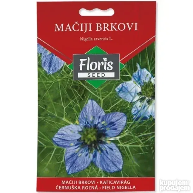 Cveće Mačiji brkovi seme 0.5g - 10kom. FLORIS