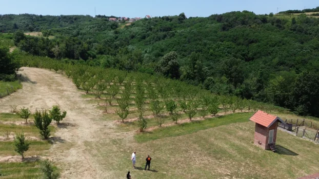 Aranđelovac, Misača, dvosobna, 120 m²