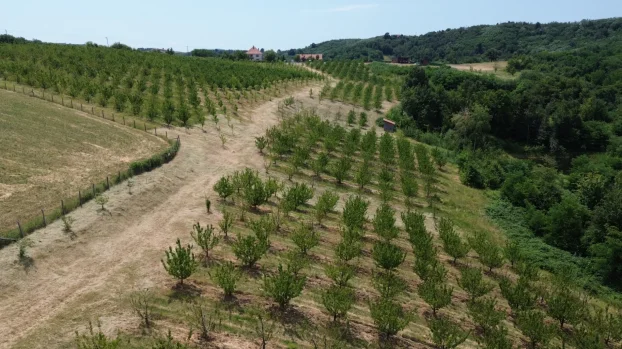 Aranđelovac, Misača, dvosobna, 120 m²