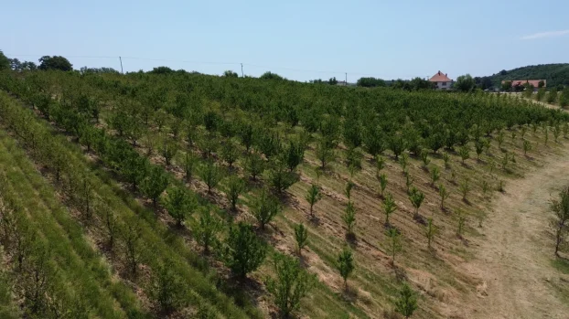 Aranđelovac, Misača, dvosobna, 120 m²