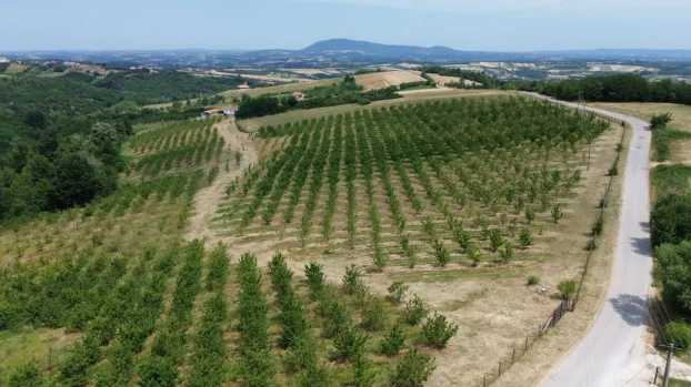 Aranđelovac, Misača, dvosobna, 120 m²