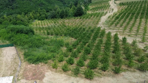 Aranđelovac, Misača, dvosobna, 120 m²