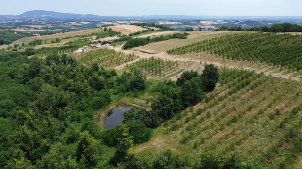 Aranđelovac, Misača, dvosobna, 120 m²