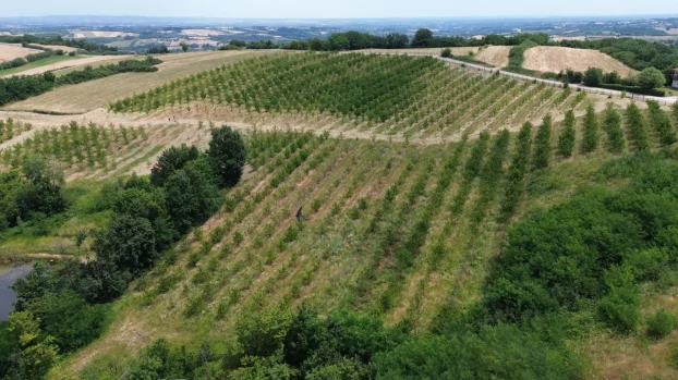 Aranđelovac, Misača, dvosobna, 120 m²